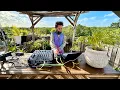 Download Lagu AIWAA | Live Set Organic House Sunset Mix 2024 | By @EPHIMERATulum