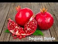 Download Lagu DEGUNG SUNDA PALING MENYENTUH VOL 3 JURU KAWIH \