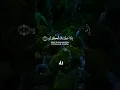 Lagu Surah Al-Kawthar | Quran Recitation | WhatsApp Status |Tilawat Al Quran Riaz Ibrahim