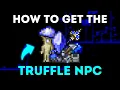 The Quickest Way to Get the Truffle NPC in Terraria Works in Terraria 1 4