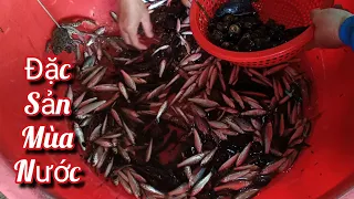 Đặc sản mùa nước nổi 24