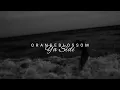 Download Lagu orange blossom // ya sidi [türkçe çeviri]