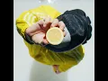 Guadua - Makoto San