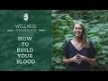 How to Build and Nourish your Blood with Holistic Medicine