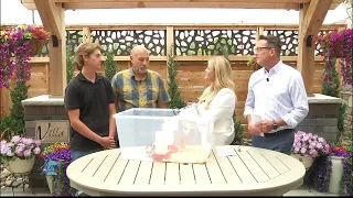 Backyard Chickens for Beginners