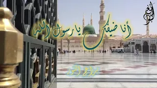 أنا ضيفك يارسول الله   براعم النور    دندنها