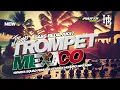 Download Lagu TRAP TROMPET MEXICO X ANIMAL BASS BEDIL AK47 MIDEL NROTOX  JINGLE SPARTA SQUARD PEMUDA UTARA