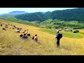 Download Lagu DESA GILAN, IRAN: KEHIDUPAN DESA YANG DAMAI DI BALIK KABUT DAN HUTAN