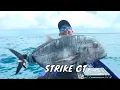 Lagu Menaklukkan Ikan Monster di Perairan Pulau Kei | MANCING MANIA STRIKE BACK (01/11/25) Part 1