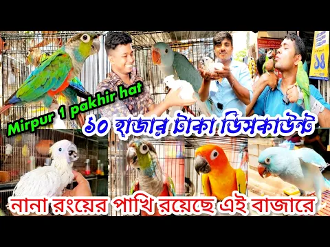 Download MP3 ২ লক্ষ টাকা দামের পাখি | মিরপুর ১ পাখির হাটে | mirpur 1 pakhir hat | মিরপুর হাটের দ্বিতীয় পর্ব