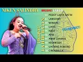 Download Lagu NIKEN SALINDRY \