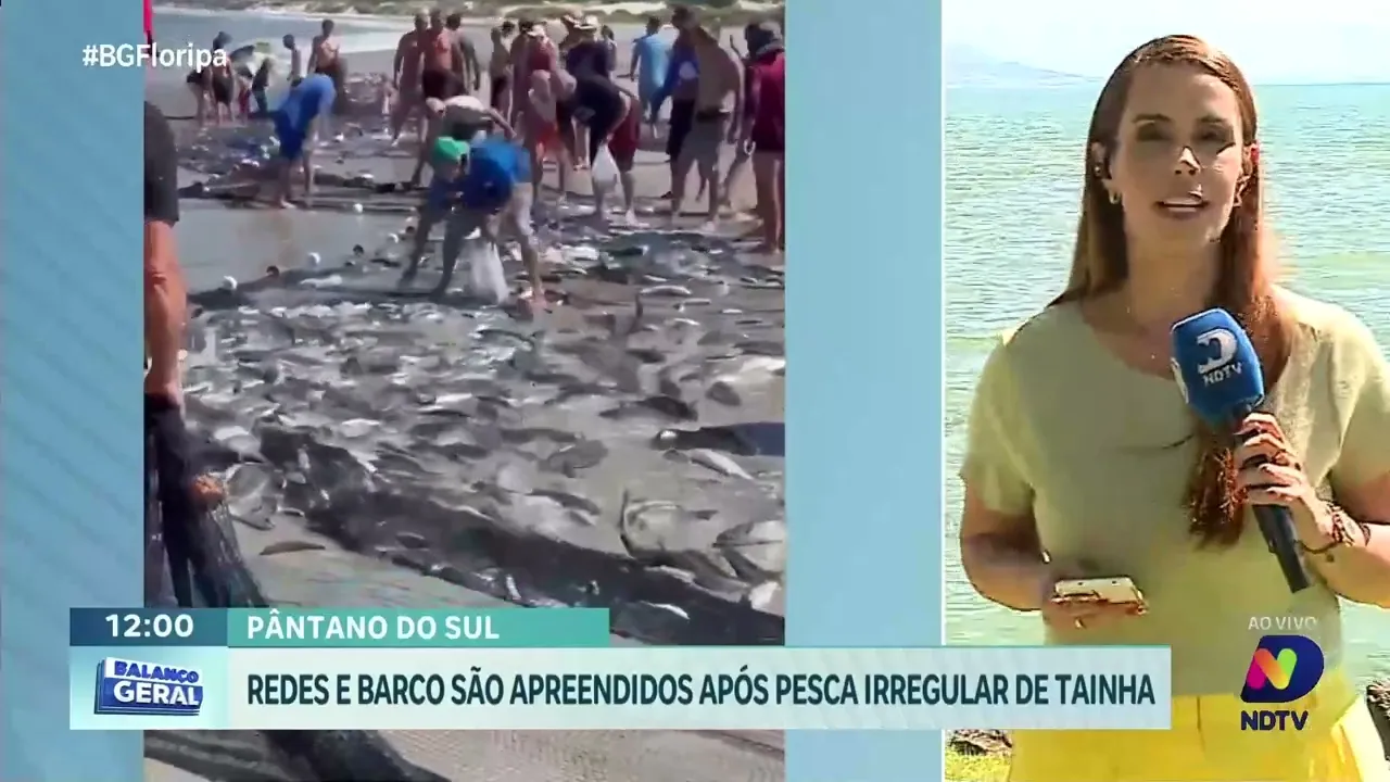 Operação de fiscalização: redes e barco são apreendidos por pesca ilegal de tainha no fim de semana