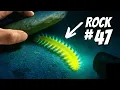 Download Lagu I Flipped 100 Rocks on the Ocean Floor at Midnight