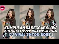 KUMPULAN DJ REGGAE SLOW TERBARU || DJ CAMPURAN VIRAL TIKTOK 2025🎵 
