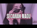 SECAWAN MADU - JOGET TERBARU🌴 || KEVINSKY REMIX 2025