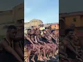 Download Lagu Pikkewynne challenge 🤎🤎🤎 #trending #africa #amapiano #tiktok