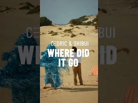 C3dric & Shibui 💫 Where Did It Go 💫 #timerecords