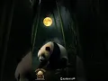 Download Lagu Panda Series | EPISODE 1: The First Night - Bao’s Life Begins 🐼🌕 #PandaSeriesYT #Viralvideo