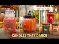 Jeffrey Alans Fall