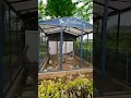 big bird cage