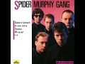 Schickeria - Spider Murphy Gang