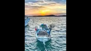 بحر ابو جريشه ايوب اشترك فى القناه ليصلك كل جديد 