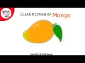 Classification of Mango Easy Trick