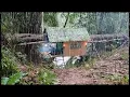 Download Lagu Hujan lebat dan angin kencang melanda disaat membangun shalter gantung,solo camping bushcraft