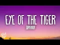Download Lagu Survivor - Eye Of The Tiger