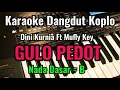 Download Lagu GULU PEDOT [ Dini Kurnia Ft Mufly Key ] Karaoke Dangdut Koplo || Nada Dasar = B