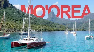 Who INSPIRED us – and we race ARCHER! [🎥44🇵🇫]