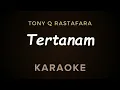 Tertanam - Tony Q Rastafara | Karaoke | Ska Reggae