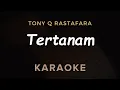 Download Lagu Tertanam - Tony Q Rastafara | Karaoke | Ska Reggae