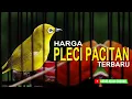 Download Lagu harga pleci dakun pacitan terbaru