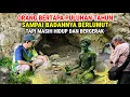 Download Lagu Viral !! Orang Bertapa Selama Puluhan Tahun Sampai Badannya Berlumut Tapi Masih Hidup