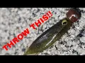 Use this SWIMBAIT at SHAVER LAKE if you want to catch FISH