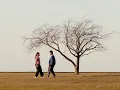 Download Lagu half•alive - Long Drive (Visualette)