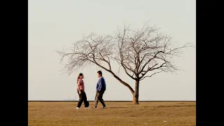 half•alive - Long Drive (Visualette)