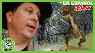 T-Rex Enorme y Dinosaurios Sorpresa con Ranger Aaron | 🦖 T-Rex Rancho | Parque en Vivo!