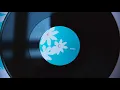 Dr. Octagon - Blue Flowers (Automator Remix) (vinyl)