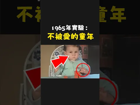 不被愛的童年，看得出來？| 維思維