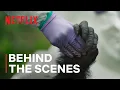 The Death of Pork Pie Chimp Empire Netflix
