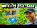 How to set up a Greenhouse Solar Fan - Is it Worth It