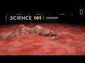 Download Lagu COMPRENDRE : le cancer