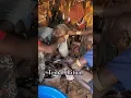Download Lagu Tribal ritual ceremony hamer tribe Ethiopia #tribalmarriage #africa