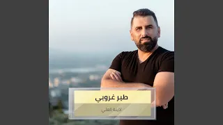            دندنها