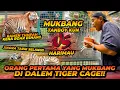 Download Lagu TANBOY KUN MUKBANG LAWAN ESHAN JINORA ! SIAPAKAH PEMENANGNYA ?!