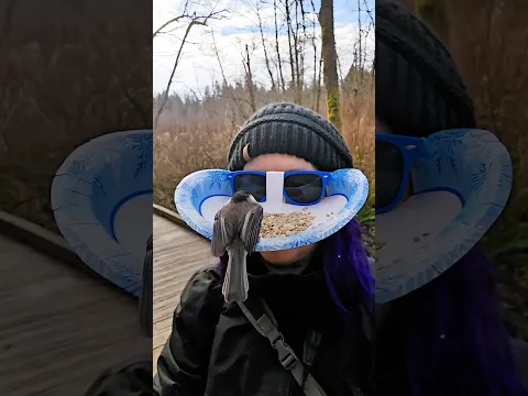 Woman Feeds Wild Birds With Her Face