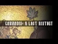 Cannabis A Lost History FULL DOCUMENTARY