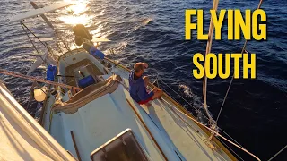 Racing Towards Tauranga & Unexpected Guests / Sailing Around NZ  Pt 8  Ep 152